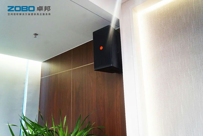 草莓视频网站设备和会议扬声器系统安装的要点